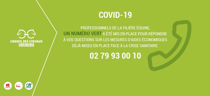 COVID-19 : LE CONSEIL DES CHEVAUX DE NORMANDIE MET EN PLACE UN NUMÉRO VERT ! 02 79 93 00 10