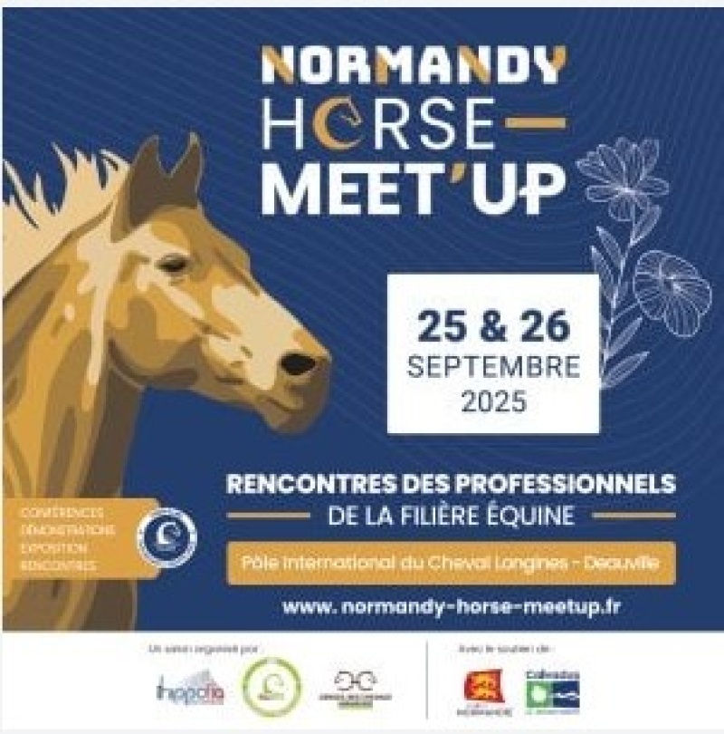 Normandy Horse meet up 2025