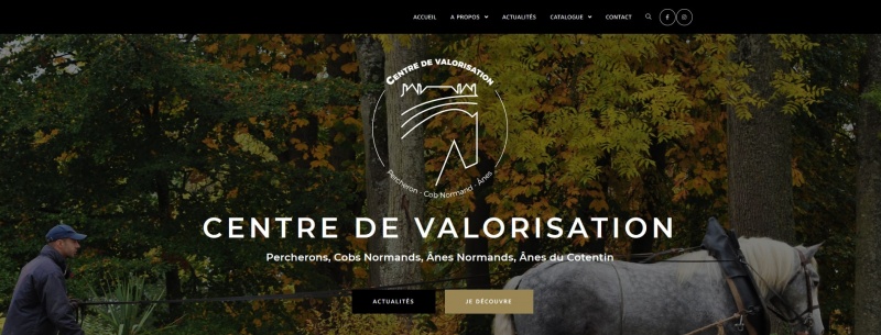 Le Centre de Valorisation des Equidés Normand dévoile son site internet